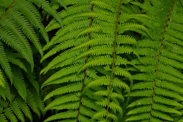 Jo briançon : une station dynamique à l'aube des jo 2030